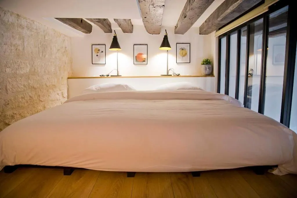 Modern Loft Saint Germain Luxembourg Odeon Apartment Paris France
